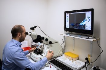 Porto company becomes world-leader in research and manufacturing of antibodies