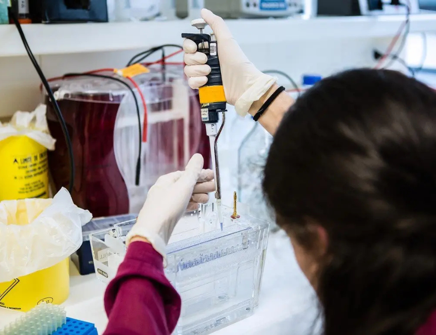 FFUP secures over &euro;11 million to drive scientific research and innovation