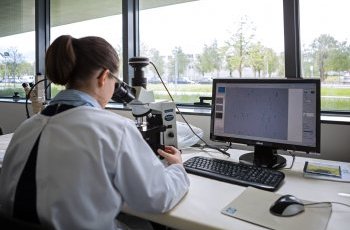 European Patent Office (EPO) highlights record number of applications in the North Region