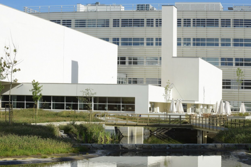 University of Porto stays in the top 50 in the world University of Porto stays in the top 50 in the world