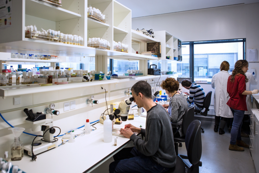 New health research center will bring together 500 researchers in Porto